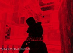 Fonds d'cran Jeux Vido Stalker Shadows of Chernobyl