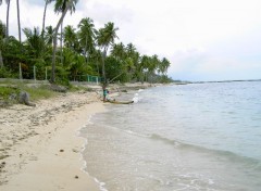 Fonds d'cran Nature plage Decameron