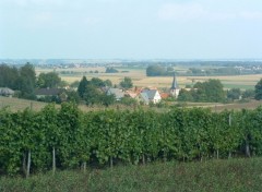 Fonds d'cran Voyages : Europe Vignes