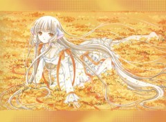 Fonds d'cran Manga Chobits