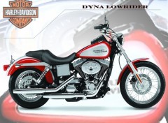 Fonds d'cran Motos FXDL Dyna Lowrider