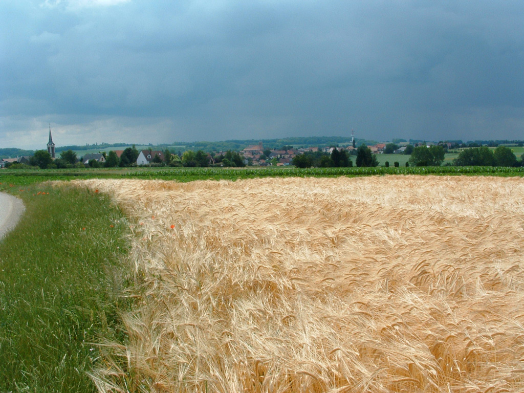 Fonds d'cran Voyages : Europe France > Alsace L'orage gronde...