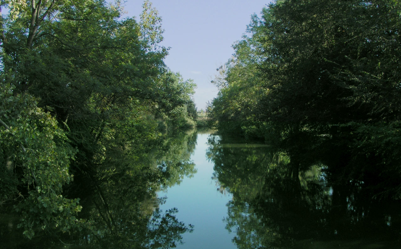 Fonds d'cran Nature Fleuves - Rivires - Torrents A l\'ombre des arbres