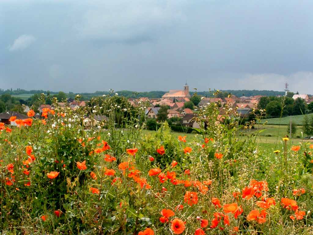 Wallpapers Trips : Europ France > Alsace Griesheim sur Souffel