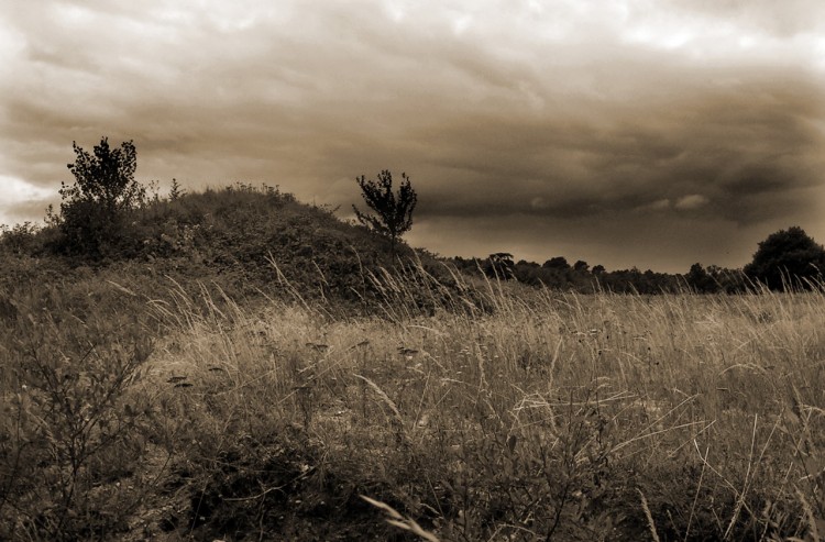 Fonds d'cran Nature Champs - Prairies Quand la pluie menace