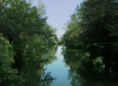 Fonds d'cran Nature A l'ombre des arbres