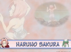 Fonds d'cran Manga Haruno Sakura