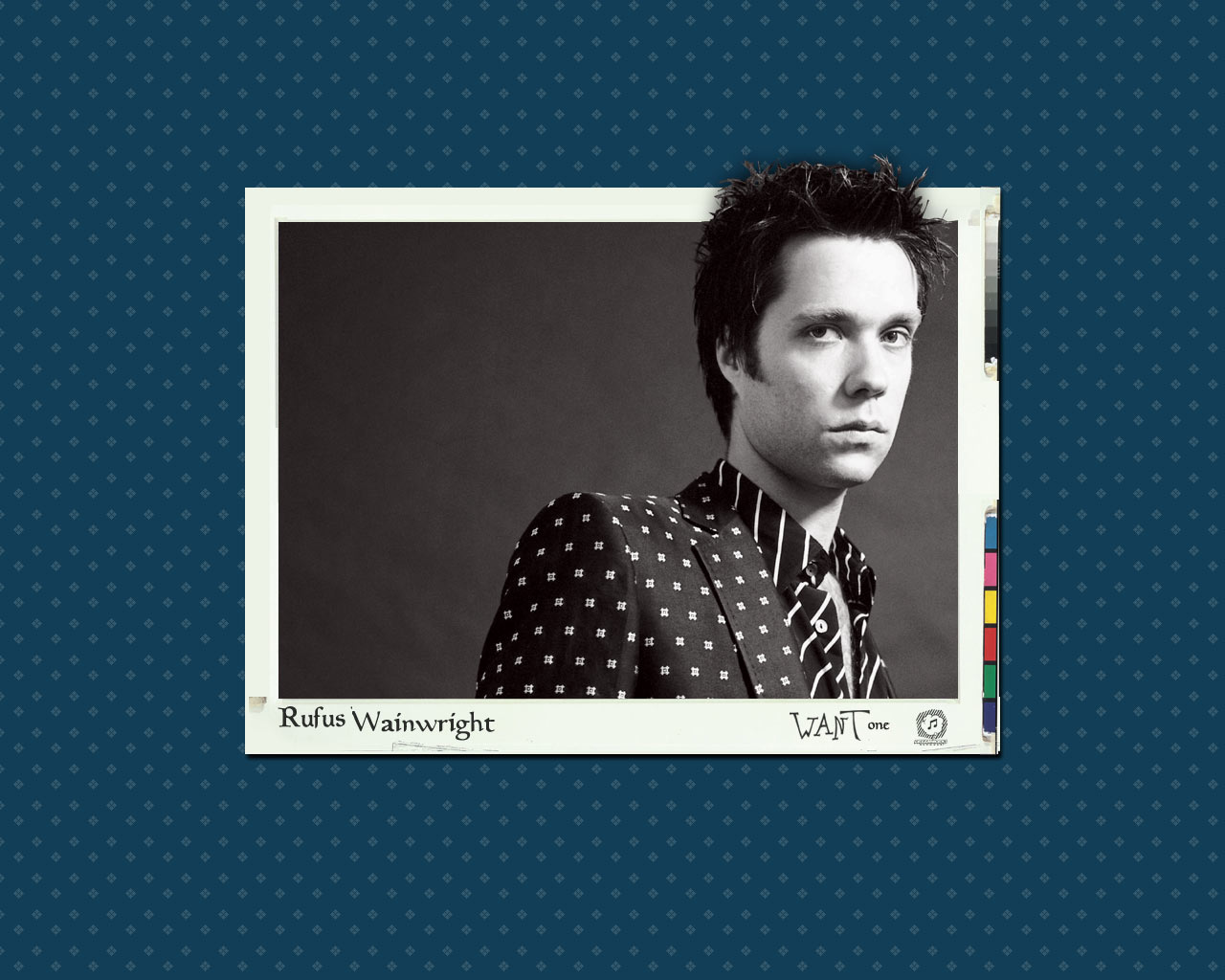 Wallpapers Celebrities Men Divers Rufus Wainwright