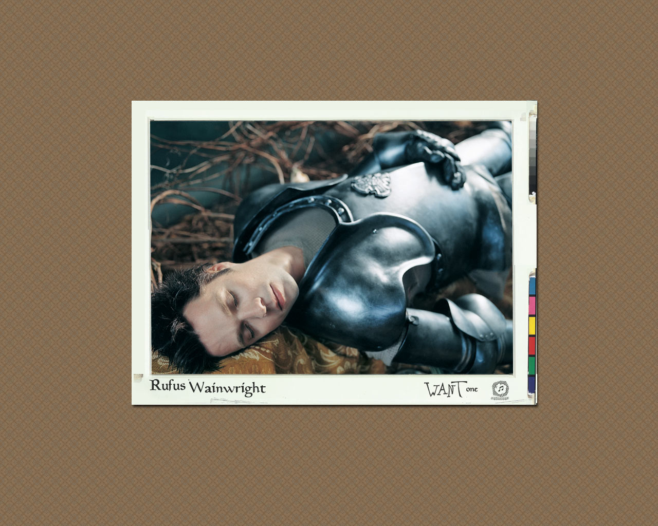 Wallpapers Celebrities Men Divers Rufus Wainwright