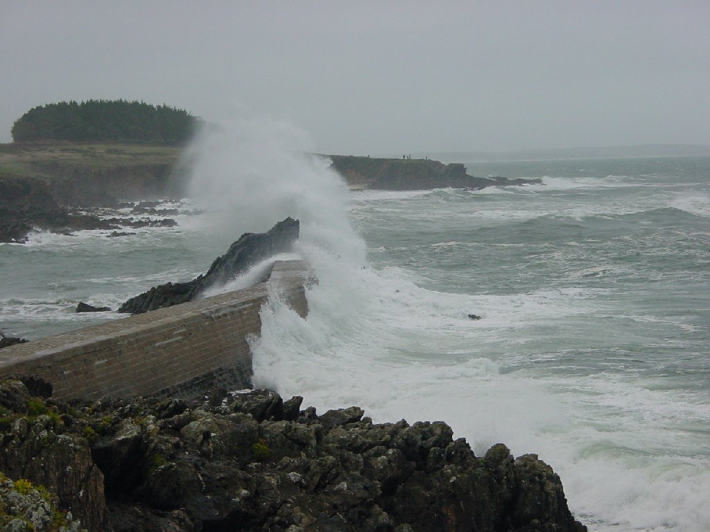 Fonds d'cran Nature Mers - Ocans - Plages quand la nature se dechaine ! ! ! !