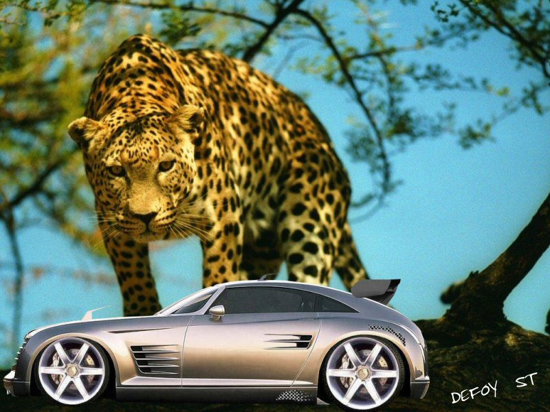 Wallpapers Cars Jaguar defoy loparrauto