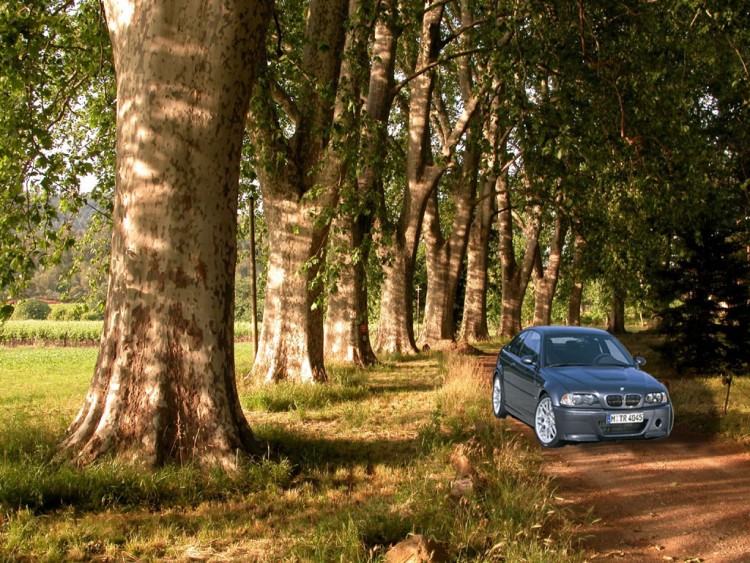 Fonds d'cran Voitures BMW BMW nature