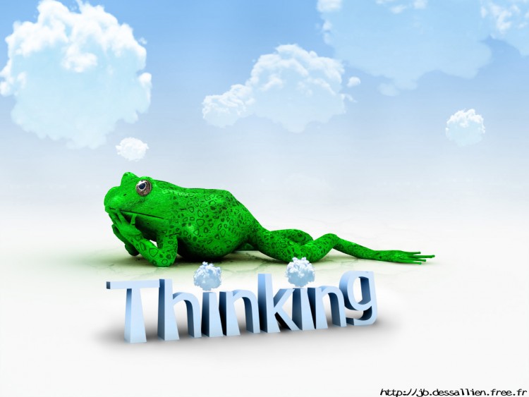 Wallpapers Digital Art Animals Thinking