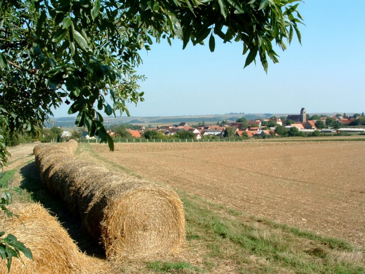 Fonds d'cran Voyages : Europe France > Alsace Saessolsheim