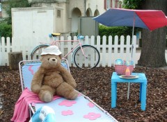 Fonds d'cran Objets Gros Nounours en vacances