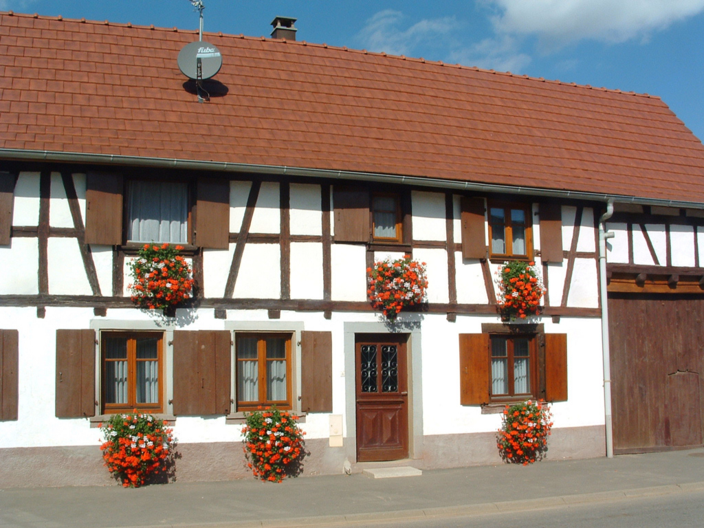 Fonds d'cran Voyages : Europe France > Alsace Willgottheim