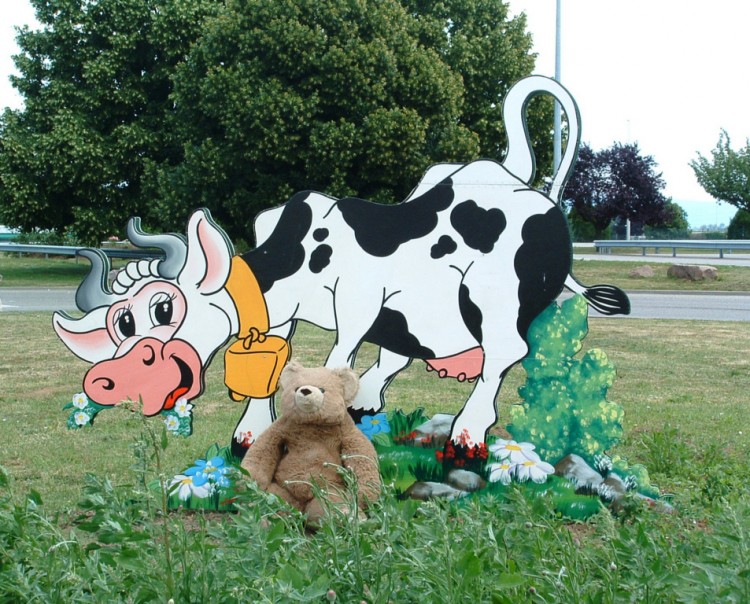 Fonds d'cran Objets Peluches Gros Nounours s'amuse  la ferme...