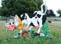 Fonds d'cran Objets Gros Nounours s'amuse  la ferme...