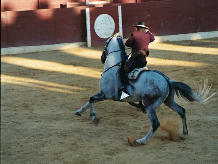 Fonds d'cran Voyages : Europe Espagne corrida