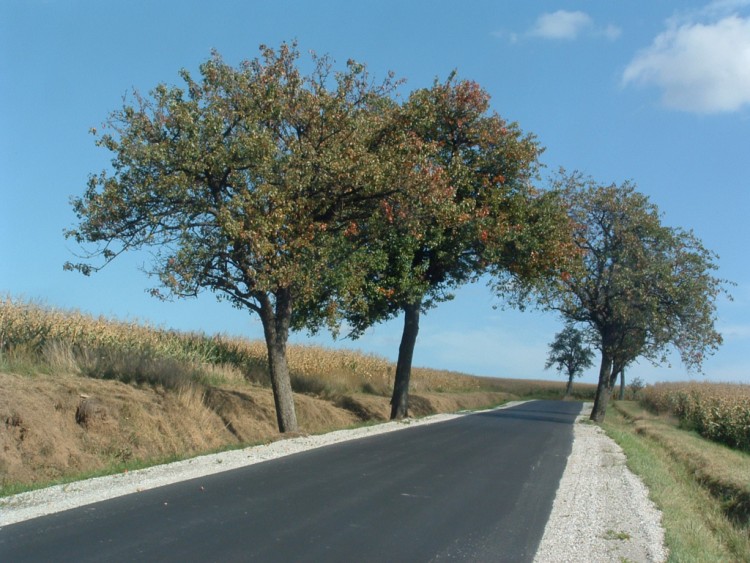 Fonds d'cran Voyages : Europe France > Alsace A la campagne le temps s'arrte...