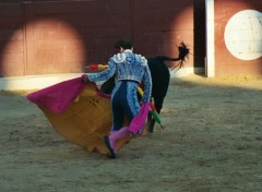 Fonds d'cran Voyages : Europe corrida