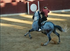 Fonds d'cran Voyages : Europe corrida