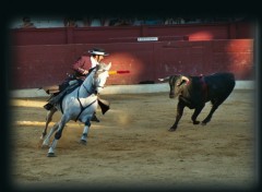 Fonds d'cran Voyages : Europe corrida