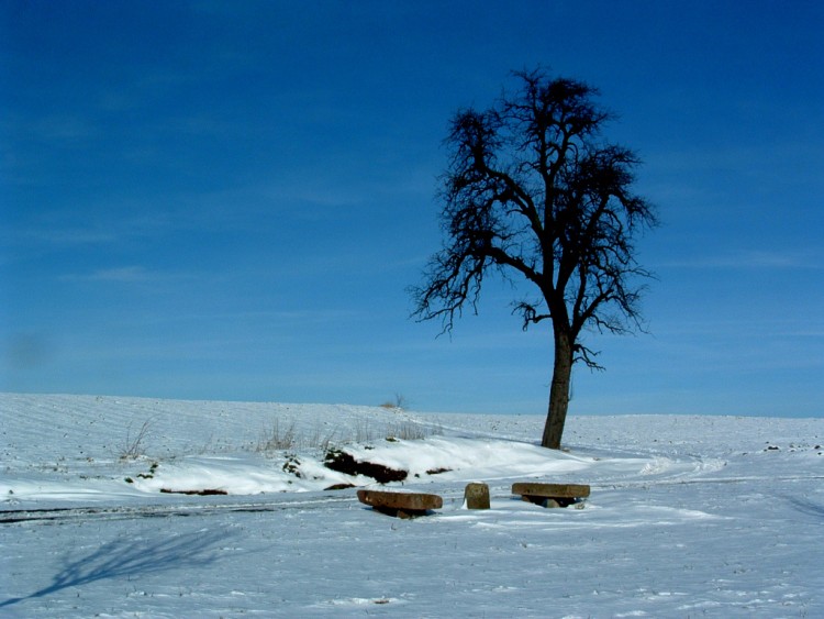 Fonds d'cran Voyages : Europe France > Alsace En sommeil...