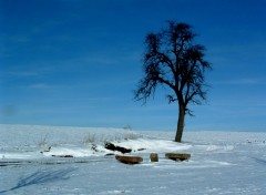 Fonds d'cran Voyages : Europe En sommeil...