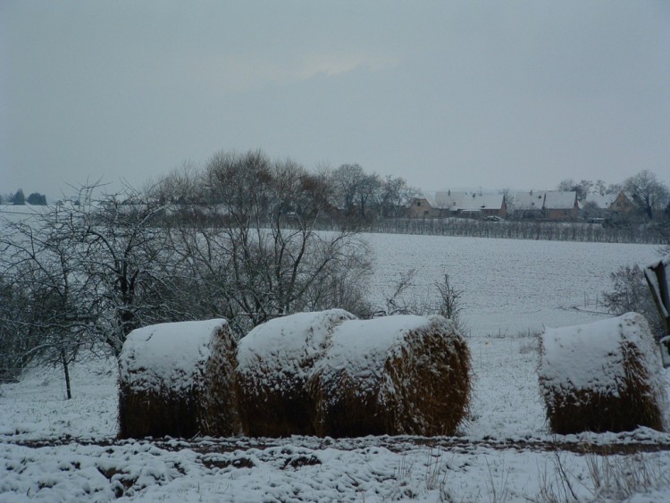 Fonds d'cran Voyages : Europe France > Alsace Fallait rentrer les meules avant l'hiver !