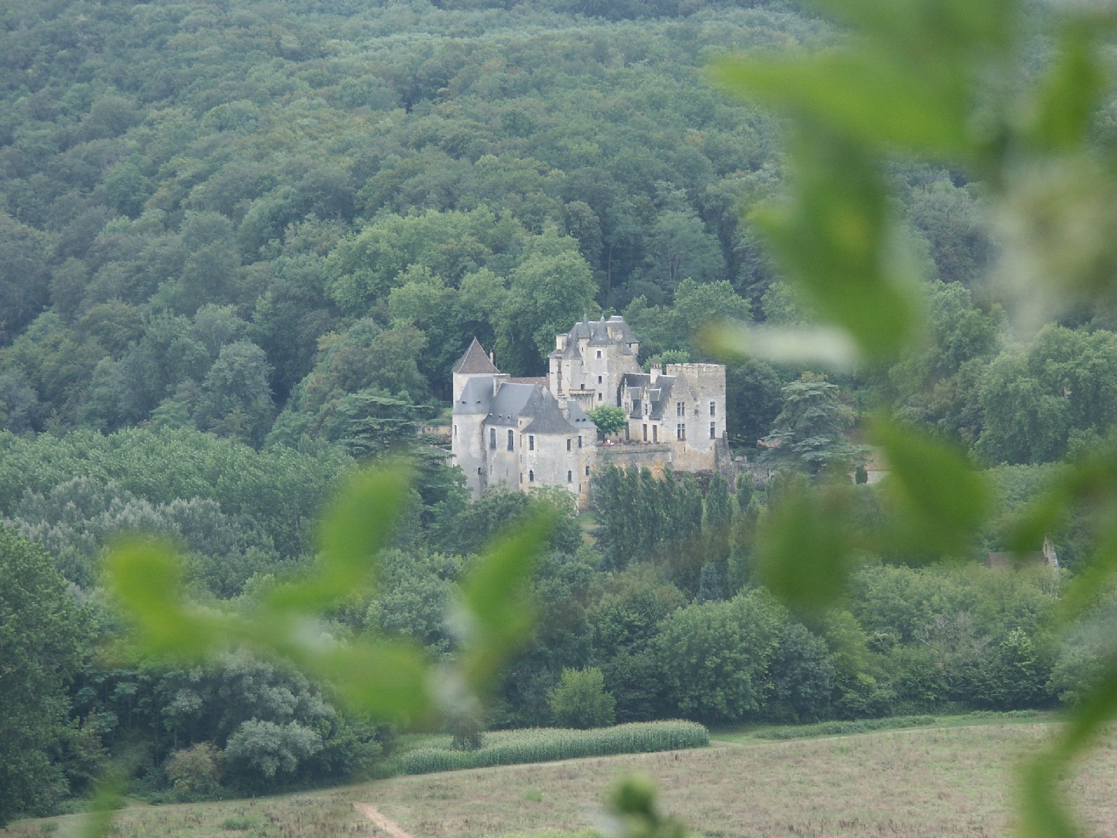 Fonds d'cran Constructions et architecture Chteaux - Palais Environs de Beynac