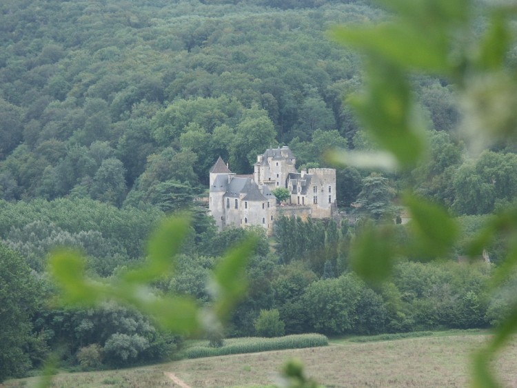 Fonds d'cran Constructions et architecture Chteaux - Palais Environs de Beynac