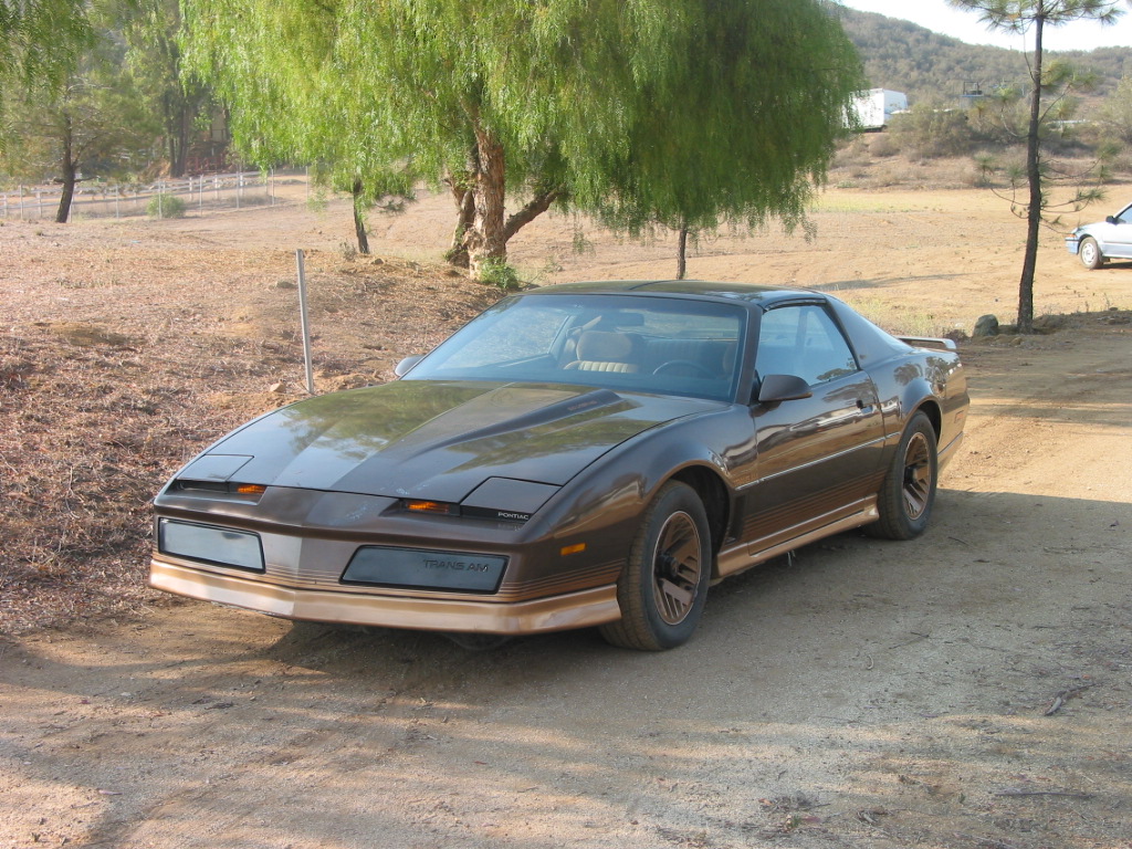 Fonds d'cran Voitures Pontiac Pontiac Trans-Am