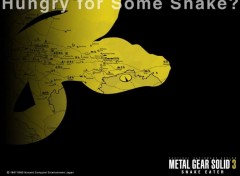 Fonds d'cran Jeux Vido Metal Gear Solid 3