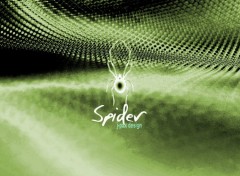 Wallpapers Digital Art Spider_2