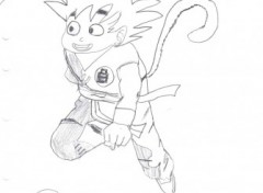 Fonds d'cran Manga sangoku