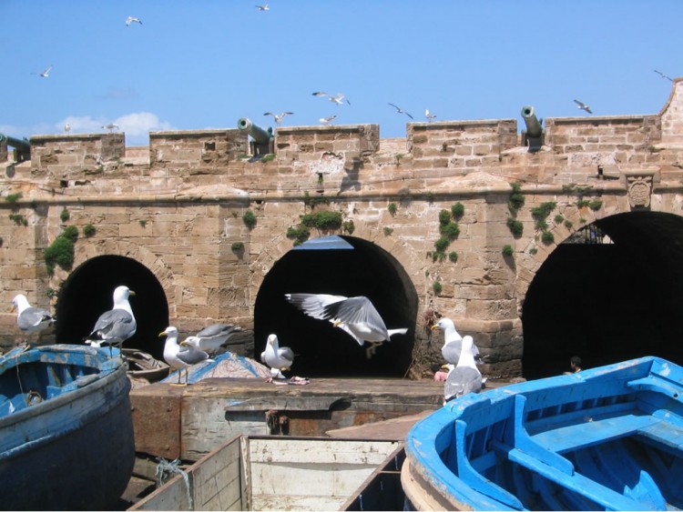 Fonds d'cran Voyages : Afrique Maroc Le Port d'Essaouira