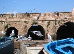 Fonds d'cran Voyages : Afrique Le Port d'Essaouira