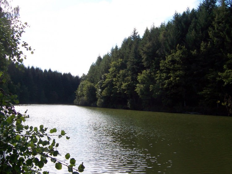 Fonds d'cran Nature Couchers et levers de Soleil Lac dans la fort