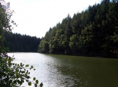 Fonds d'cran Nature Lac dans la fort