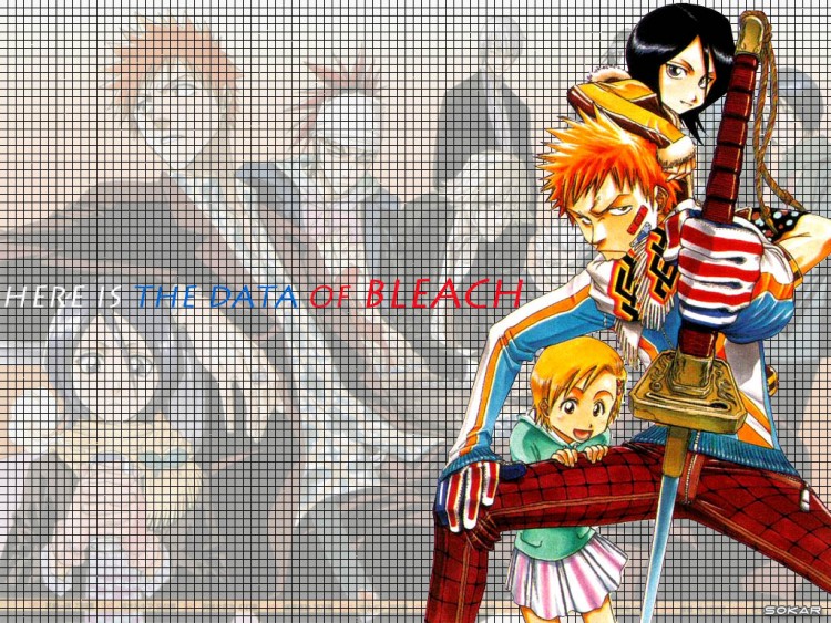 Fonds d'cran Manga Bleach Wallpaper N81218