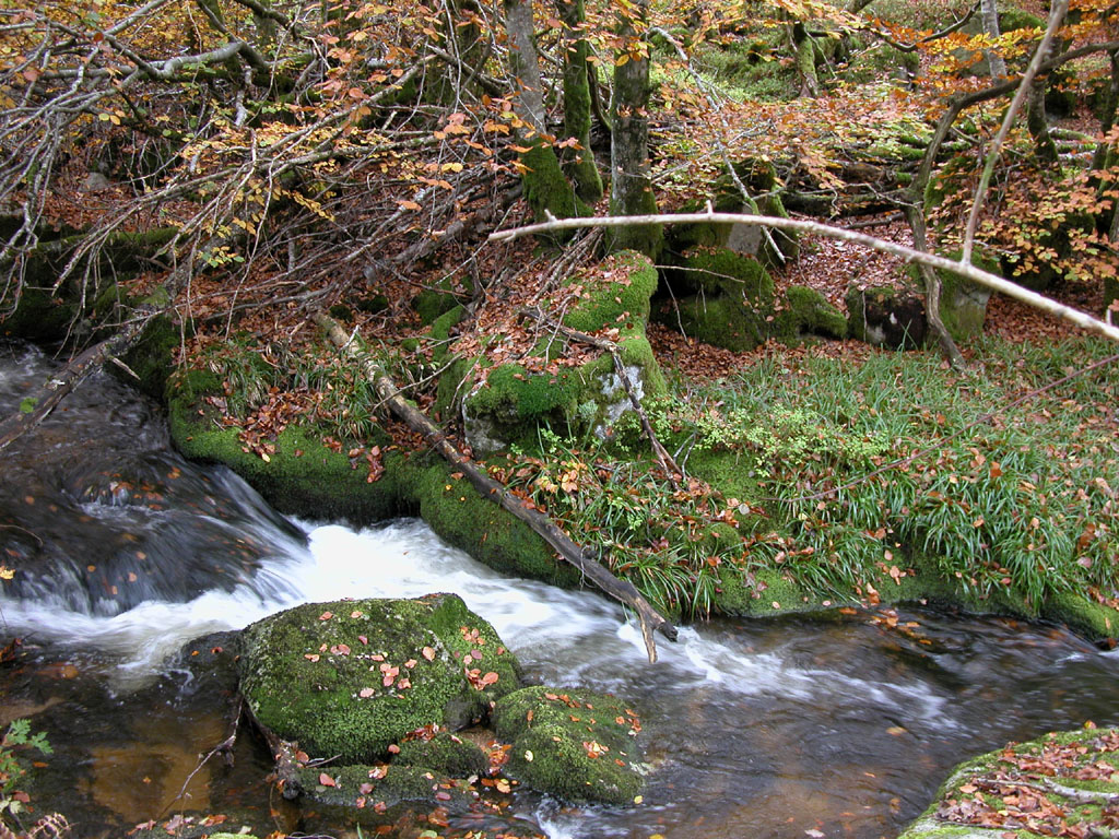 Fonds d'cran Nature Fleuves - Rivires - Torrents La Corrze sur Millevaches