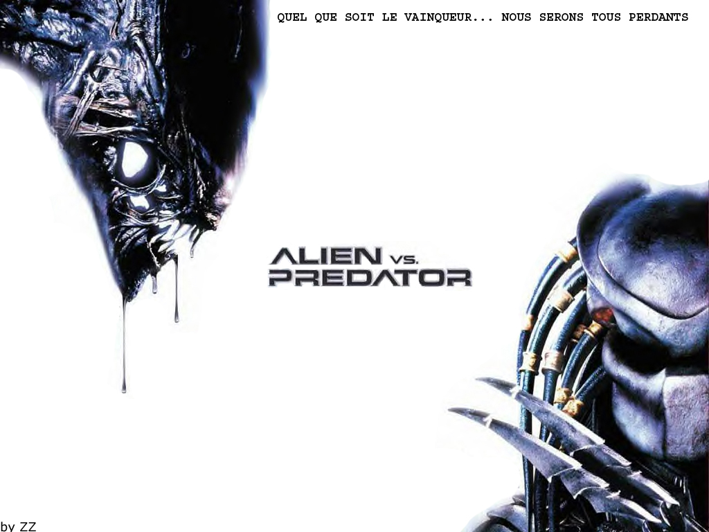 Fonds d'cran Cinma Alien vs Predator AVP Wallpaper