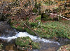 Fonds d'cran Nature La Corrze sur Millevaches