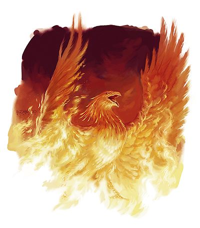 Wallpapers Digital Art Animals Phoenix