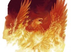 Wallpapers Digital Art Phoenix