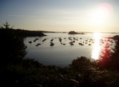 Fonds d'cran Nature aurore sur la baie de terenez