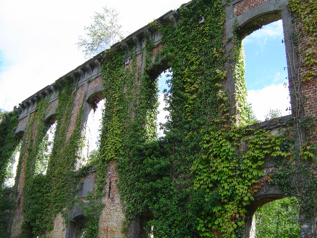 Fonds d'cran Voyages : Europe Belgique Fenetres de St Denis