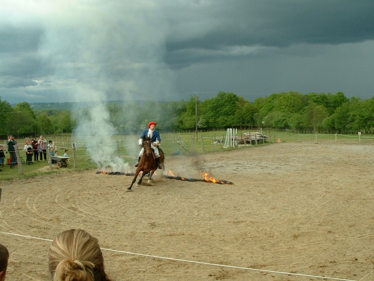 Fonds d'cran Animaux Chevaux Chevauche de DARTAGNAN