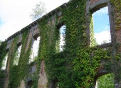 Fonds d'cran Voyages : Europe Fenetres de St Denis